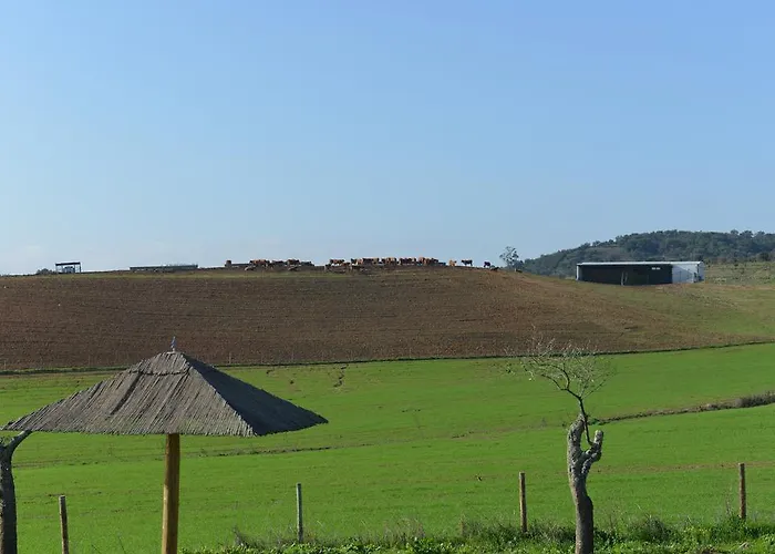 Herdade Dos Montes Bastos