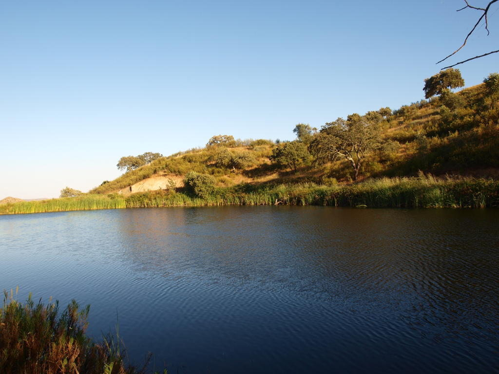 Herdade Dos Montes Bastos Farm stay *